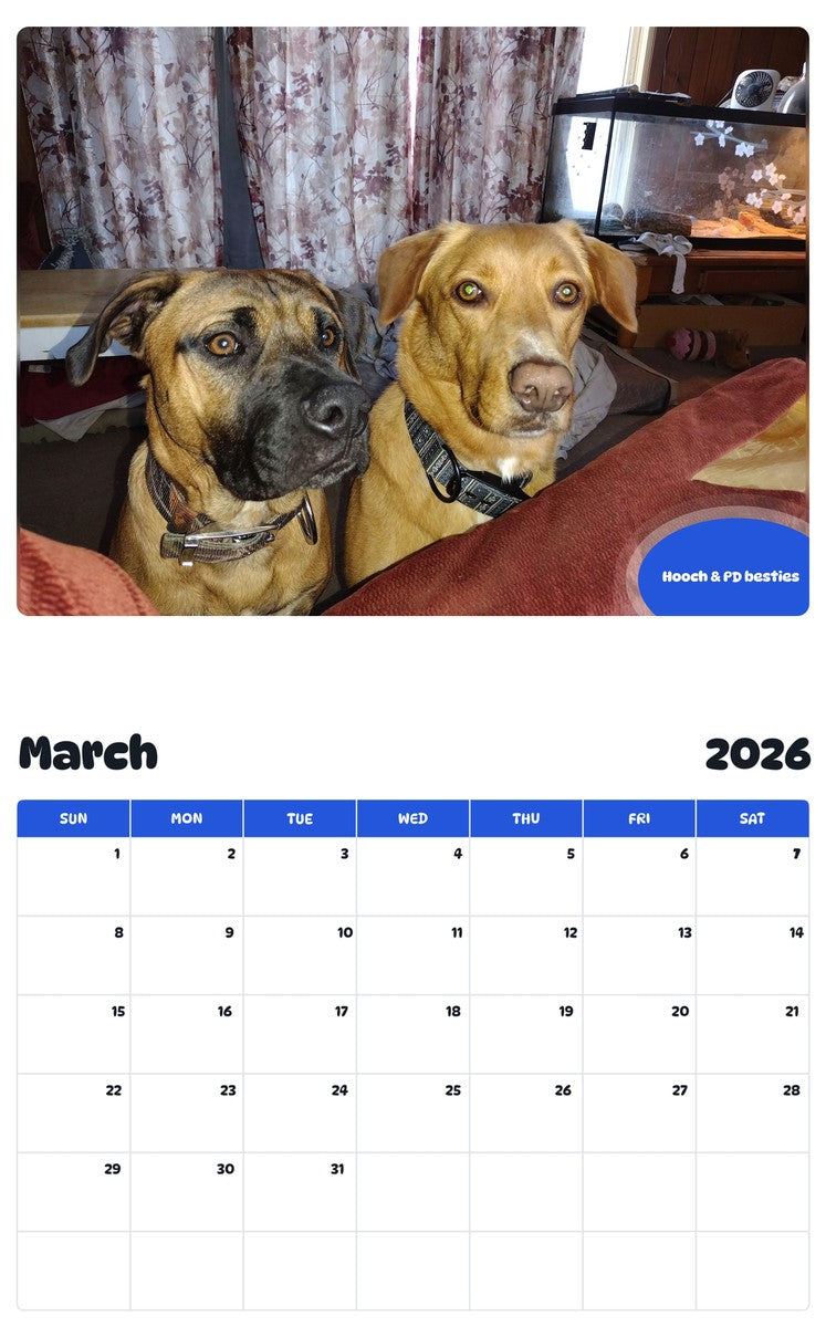 November 2025 - October 2026 Hooch & PD besties - Pawidols Pet Calendar