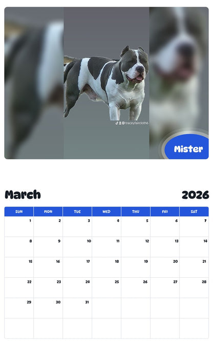 November 2025 - October 2026 Mister - Pawidols Pet Calendar