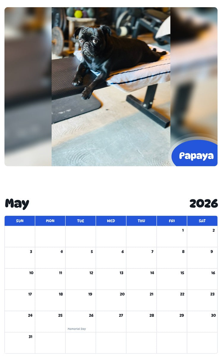 2026 - 2027 Papaya - Pawidols Pet Calendar