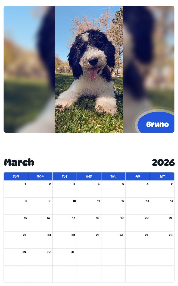November 2025 - October 2026 Bruno - Pawidols Pet Calendar