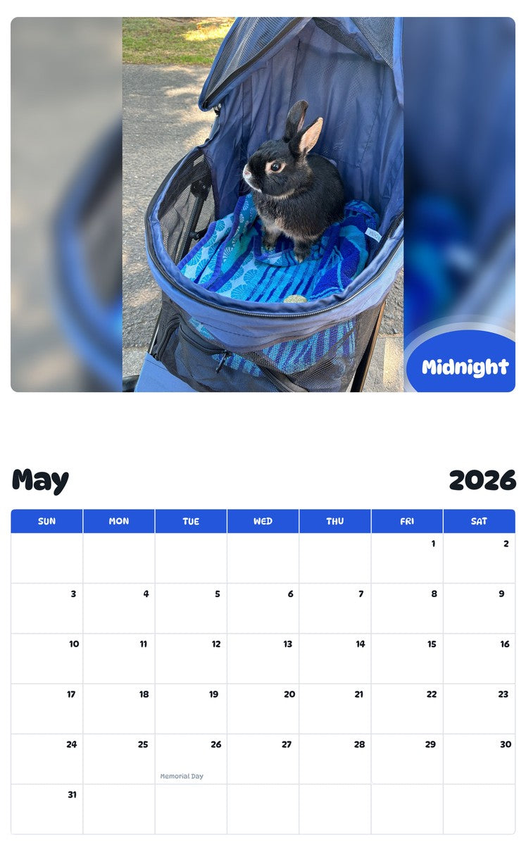 2026 - 2027 Midnight - Pawidols Pet Calendar