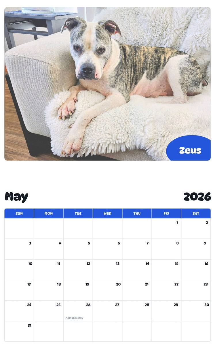 2026 - 2027 Zeus - Pawidols Pet Calendar