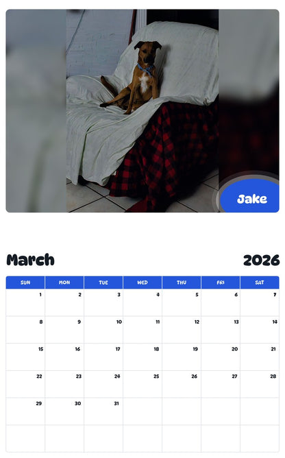 November 2025 - October 2026 Jake - Pawidols Pet Calendar