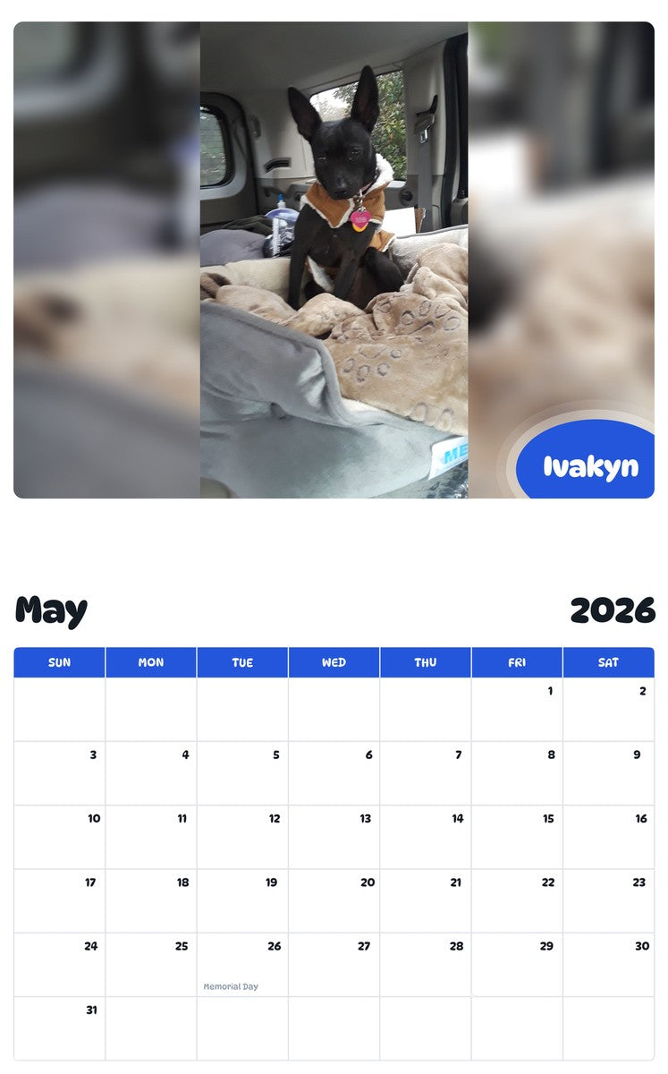 2026 - 2027 Ivakyn - Pawidols Pet Calendar