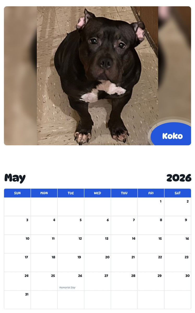 2026 - 2027 Koko - Pawidols Pet Calendar