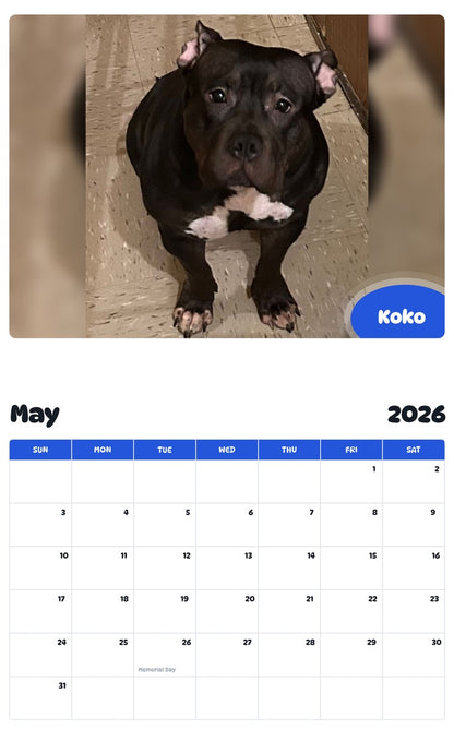 2026 - 2027 Koko - Pawidols Pet Calendar