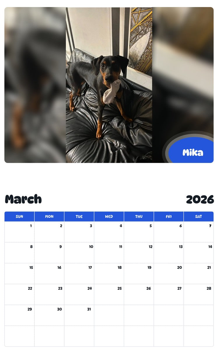 November 2025 - October 2026 Mika - Pawidols Pet Calendar