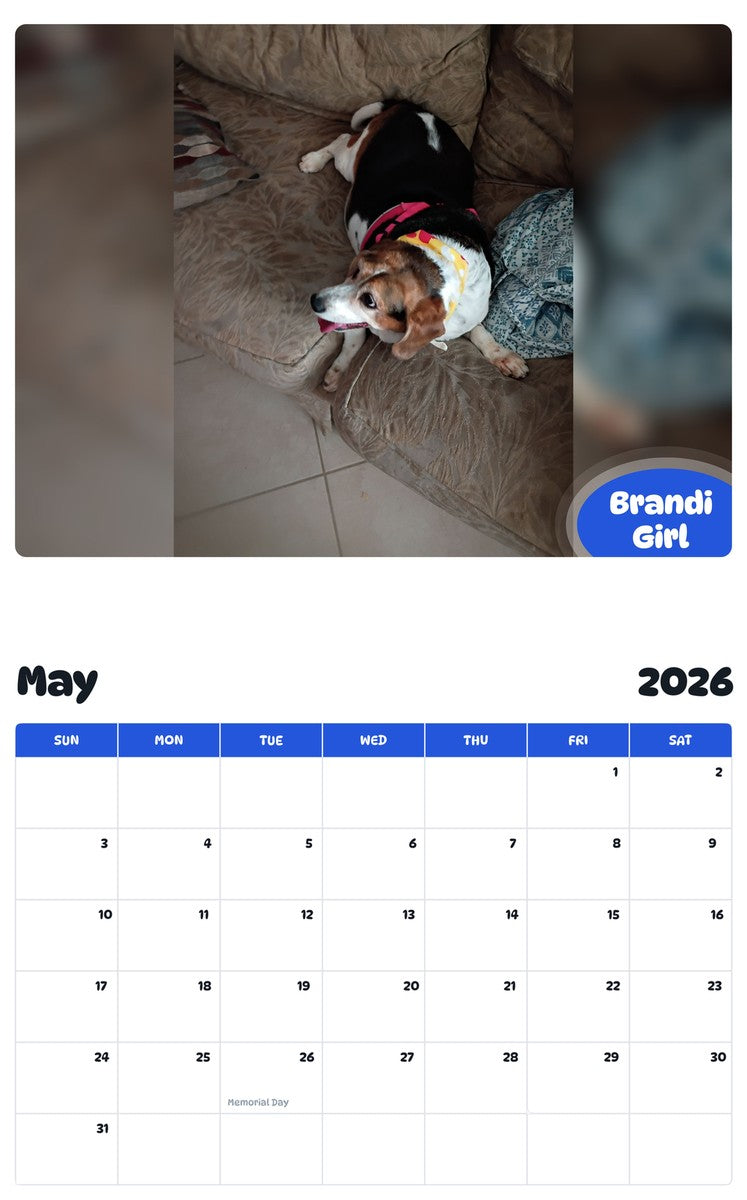 2026 - 2027 Brandi Girl - Pawidols Pet Calendar