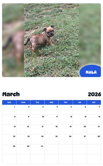 November 2025 - October 2026 NALA - Pawidols Pet Calendar