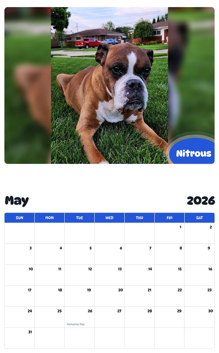 2026 - 2027 Nitrous - Pawidols Pet Calendar