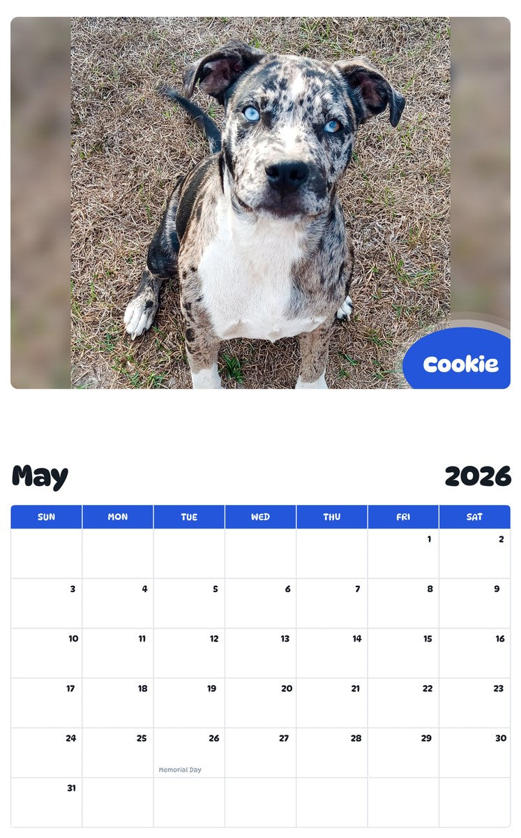 2026 - 2027 Cookie - Pawidols Pet Calendar