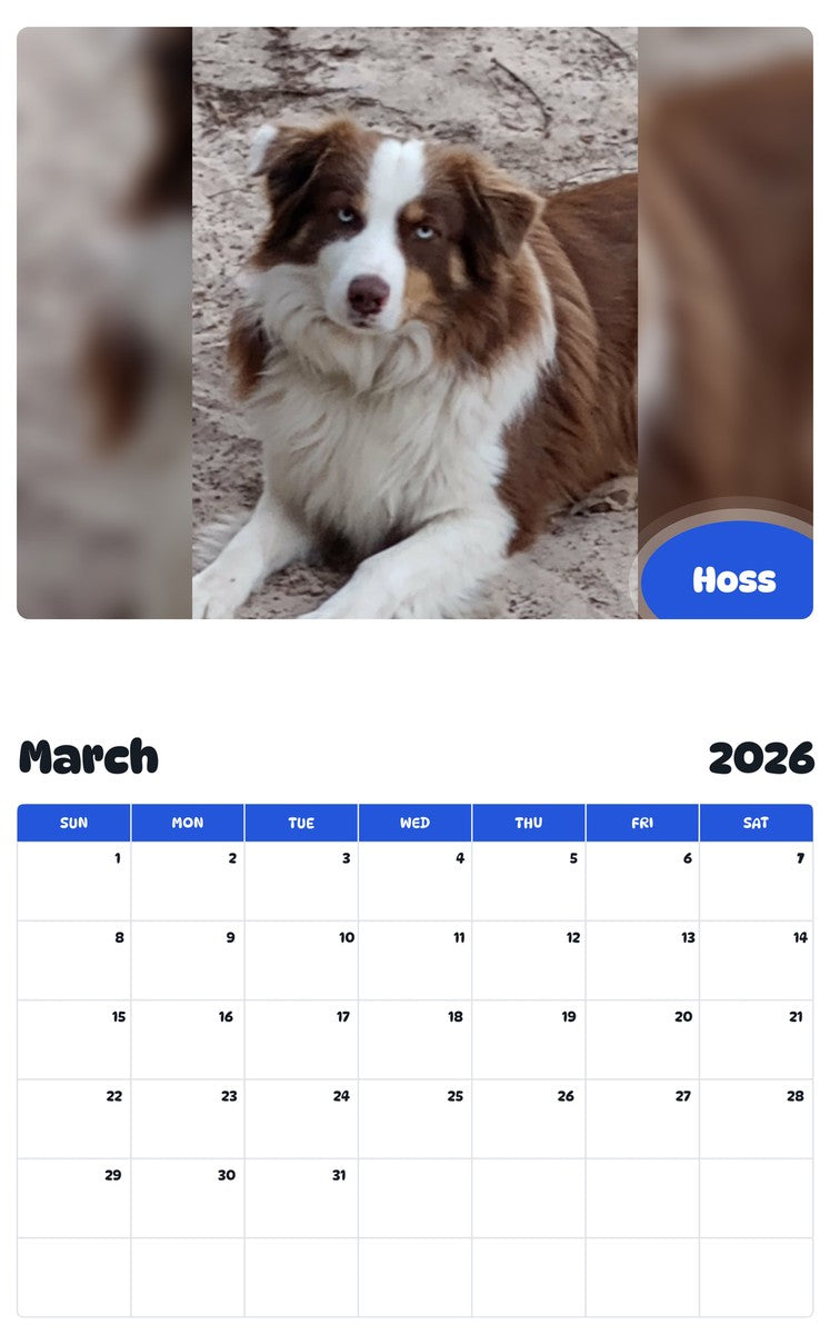 November 2025 - October 2026 Hoss - Pawidols Pet Calendar