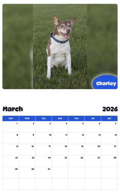 November 2025 - October 2026 Charley - Pawidols Pet Calendar