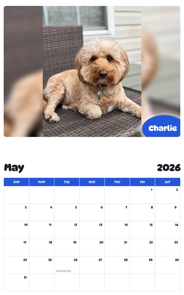 2026 - 2027 Charlie - Pawidols Pet Calendar