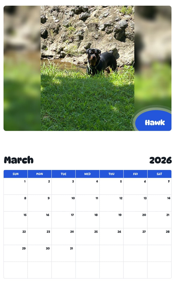 November 2025 - October 2026 Hawk - Pawidols Pet Calendar