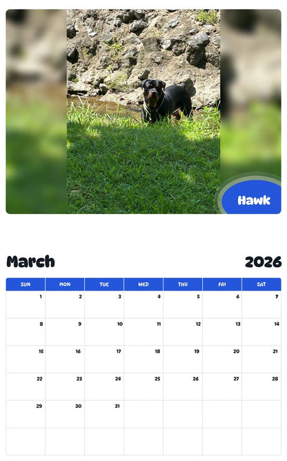 November 2025 - October 2026 Hawk - Pawidols Pet Calendar