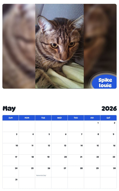 2026 - 2027 Spike louie - Pawidols Pet Calendar