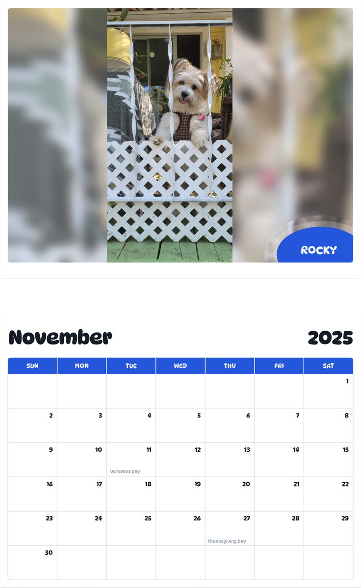 July 2025 - June 2026 Rocky - Pawidols Pet Calendar