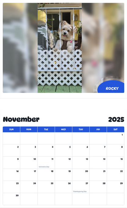 July 2025 - June 2026 Rocky - Pawidols Pet Calendar