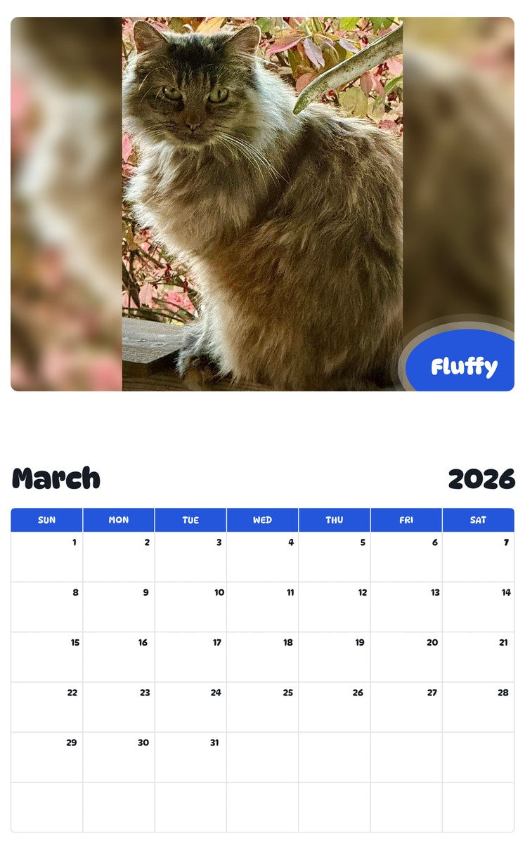 November 2025 - October 2026 Fluffy - Pawidols Pet Calendar