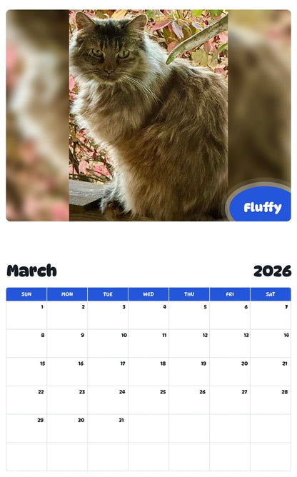 November 2025 - October 2026 Fluffy - Pawidols Pet Calendar