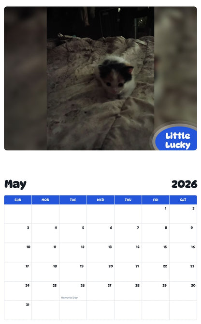 2026 - 2027 Little Lucky - Pawidols Pet Calendar
