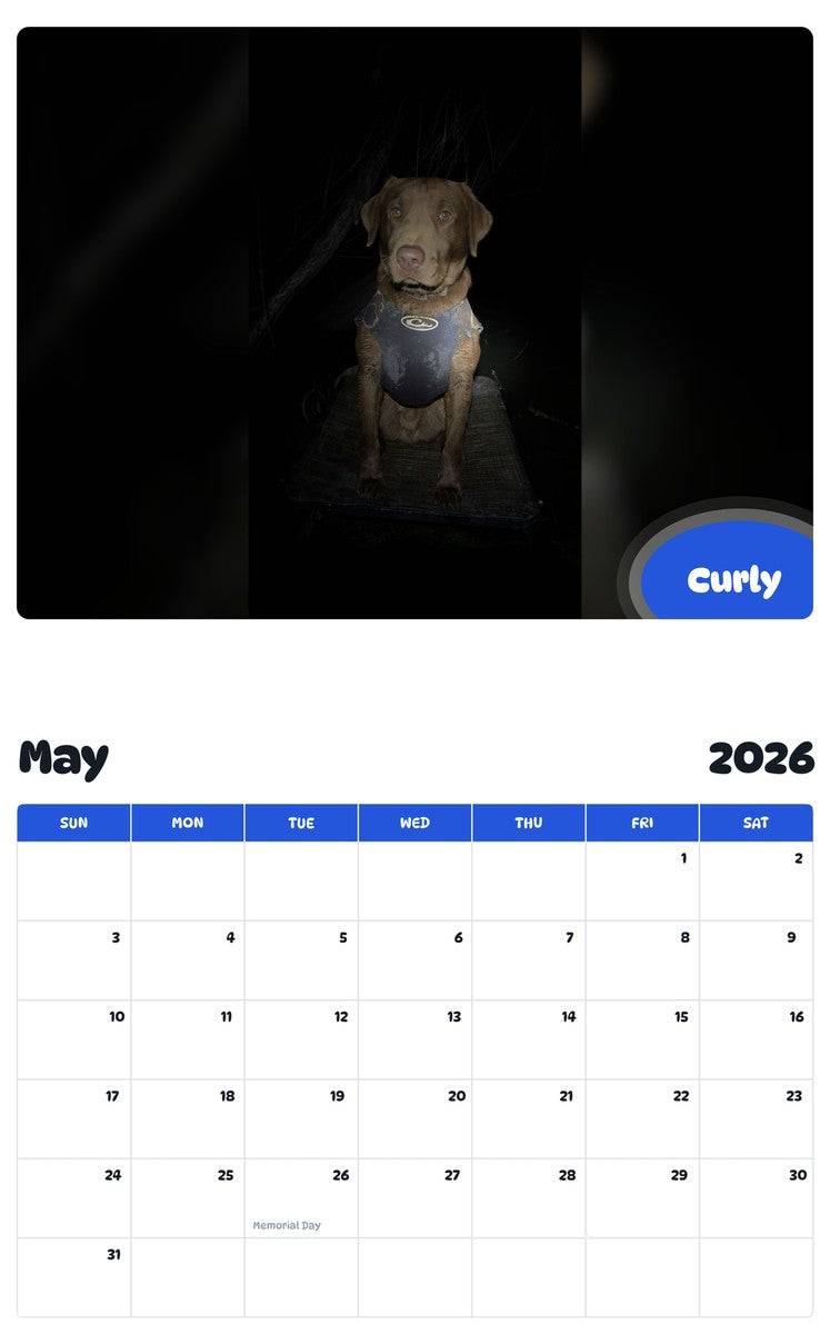 2026 - 2027 Curly - Pawidols Pet Calendar