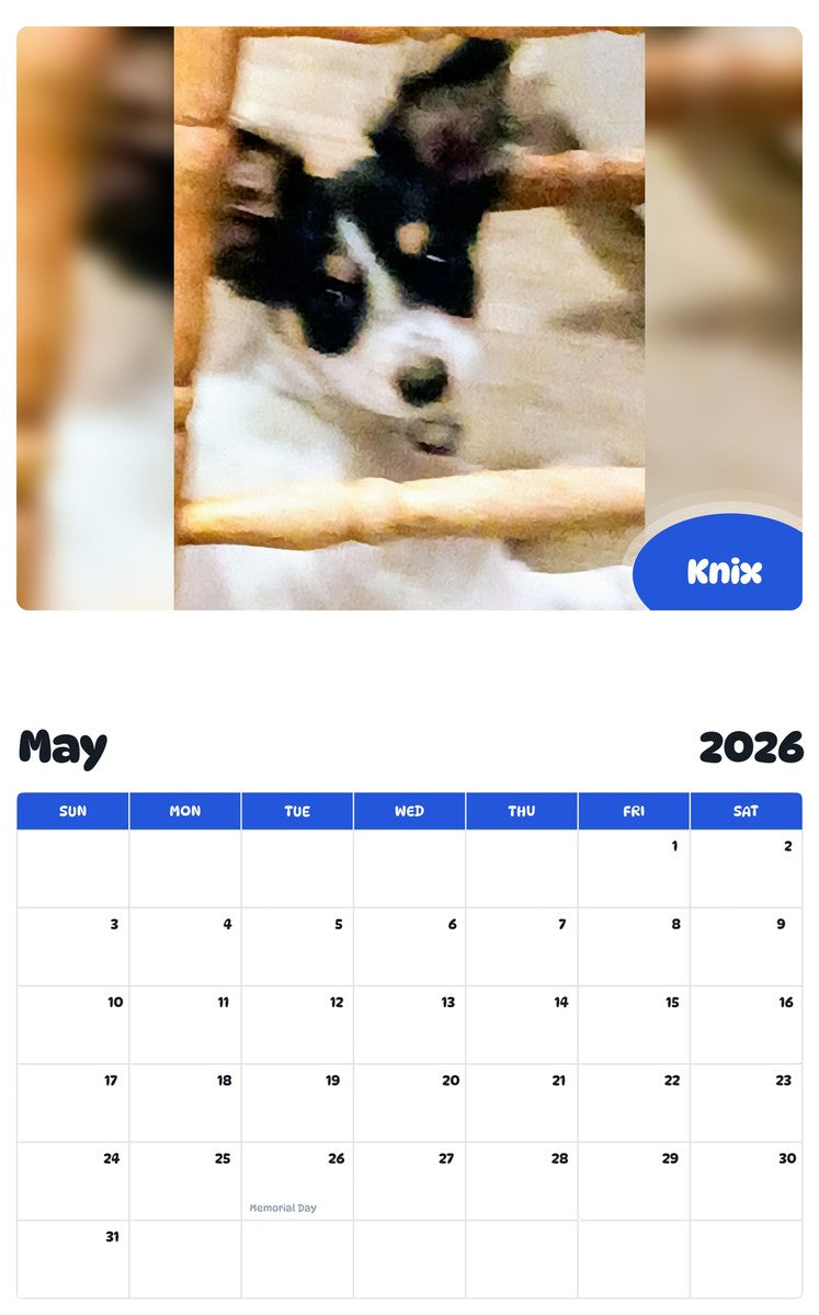 2026 - 2027 Knix - Pawidols Pet Calendar