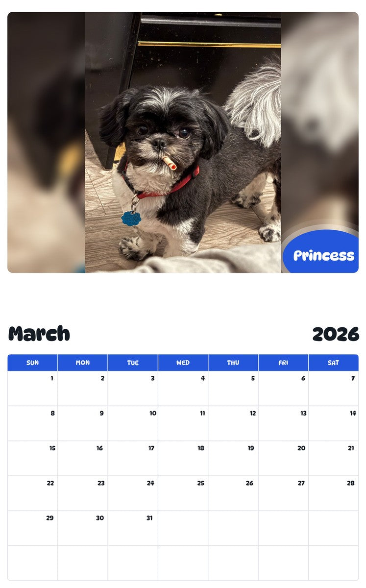 November 2025 - October 2026 Princess - Pawidols Pet Calendar