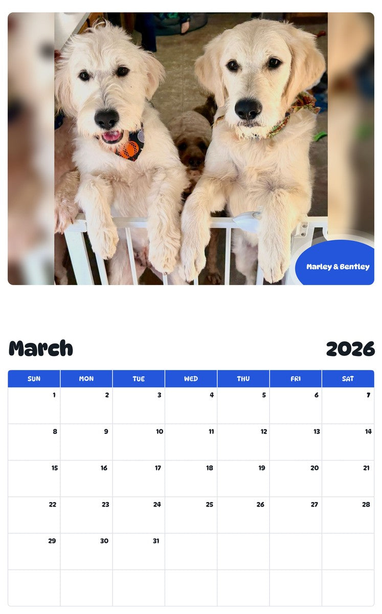 November 2025 - October 2026 Marley & Bentley - Pawidols Pet Calendar