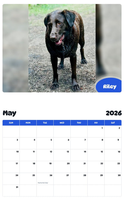 2026 - 2027 Riley - Pawidols Pet Calendar