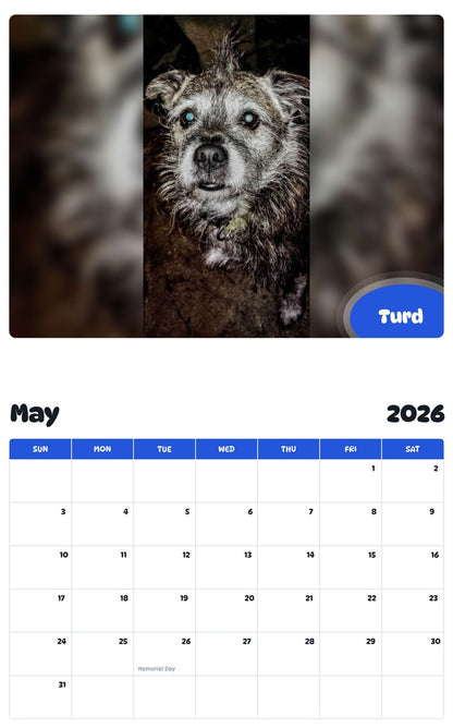 2026 - 2027 Turd - Pawidols Pet Calendar