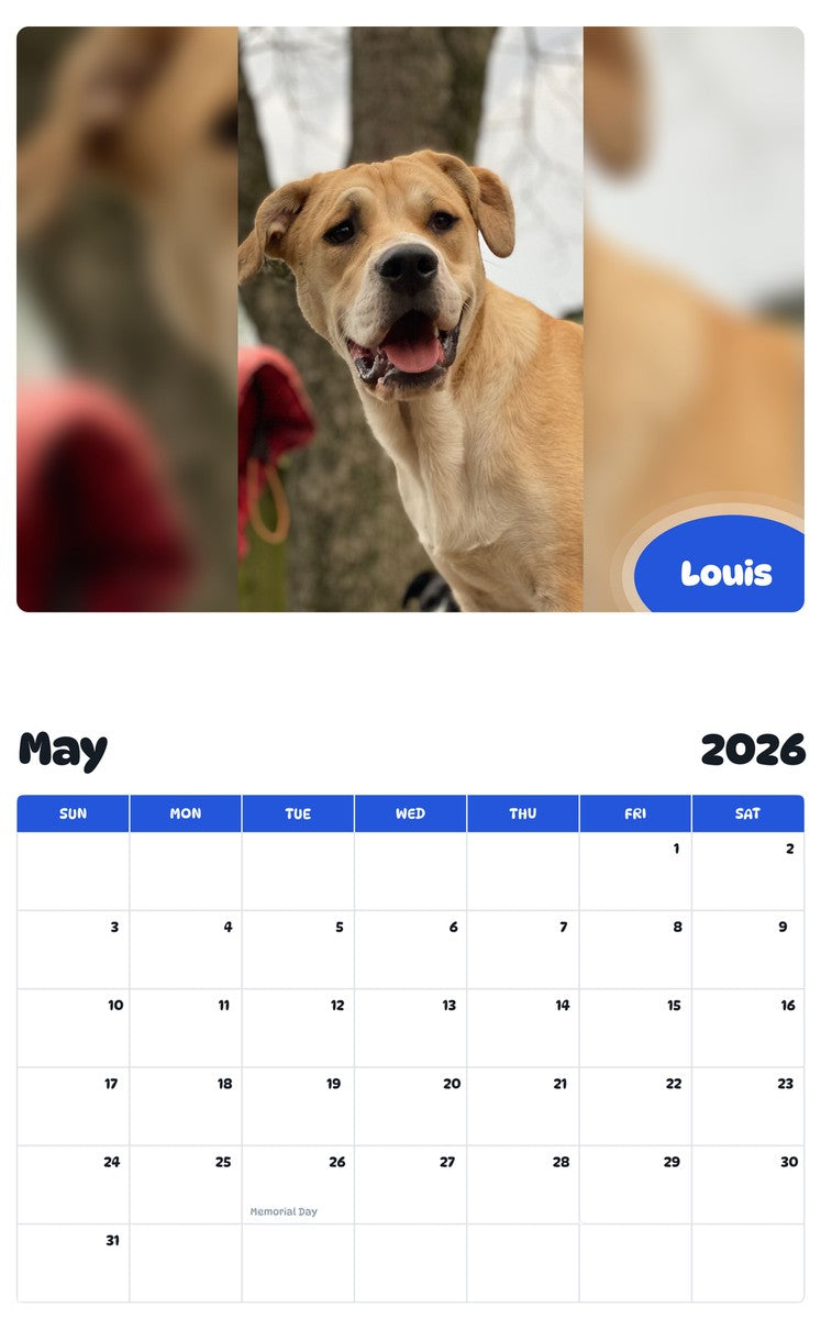2026 - 2027 Louis - Pawidols Pet Calendar