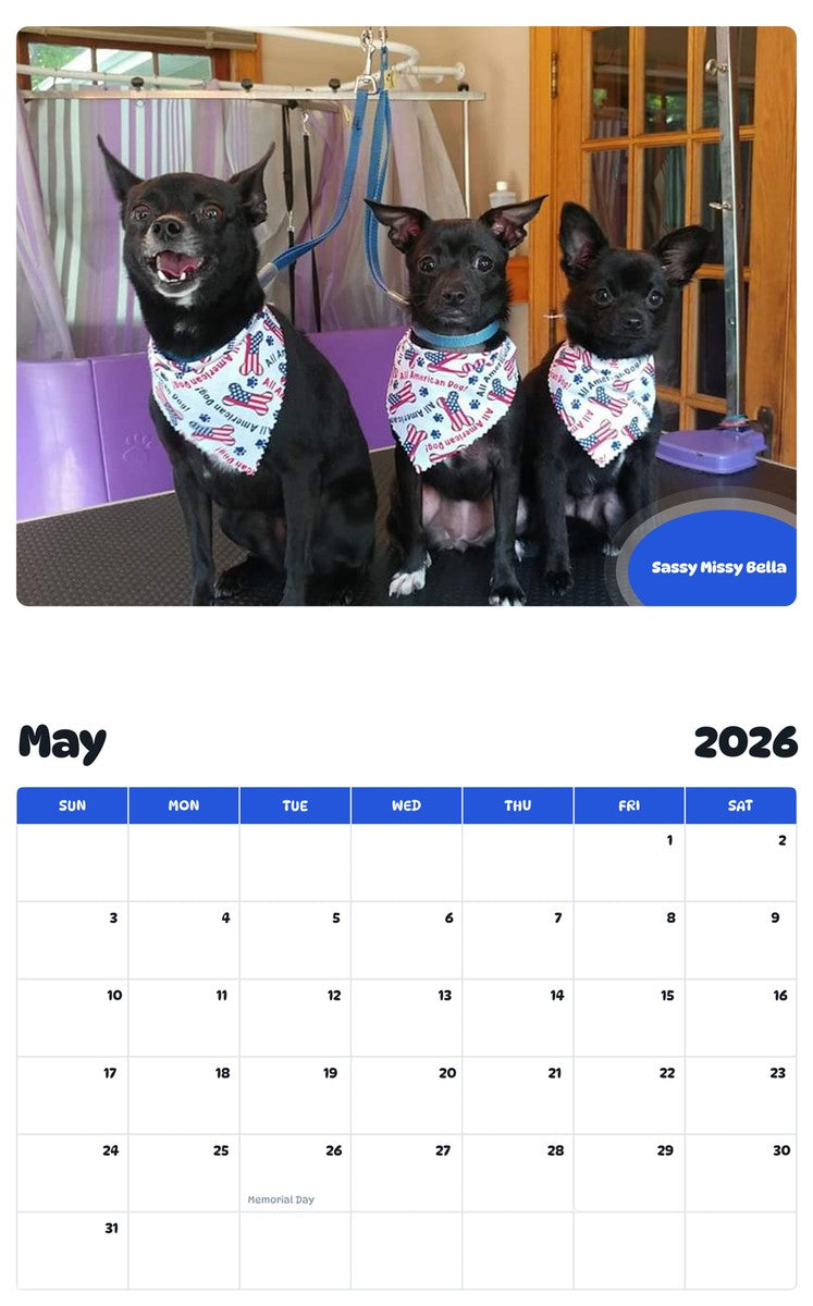 2026 - 2027 Sassy Missy Bella - Pawidols Pet Calendar