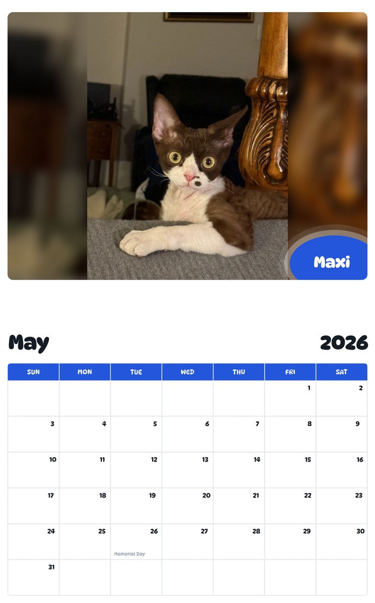 2026 - 2027 Maxi - Pawidols Pet Calendar