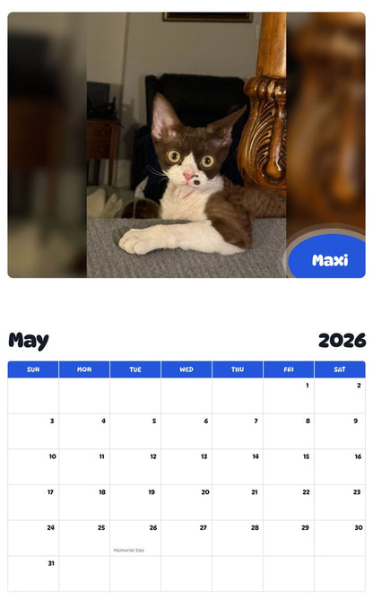 2026 - 2027 Maxi - Pawidols Pet Calendar