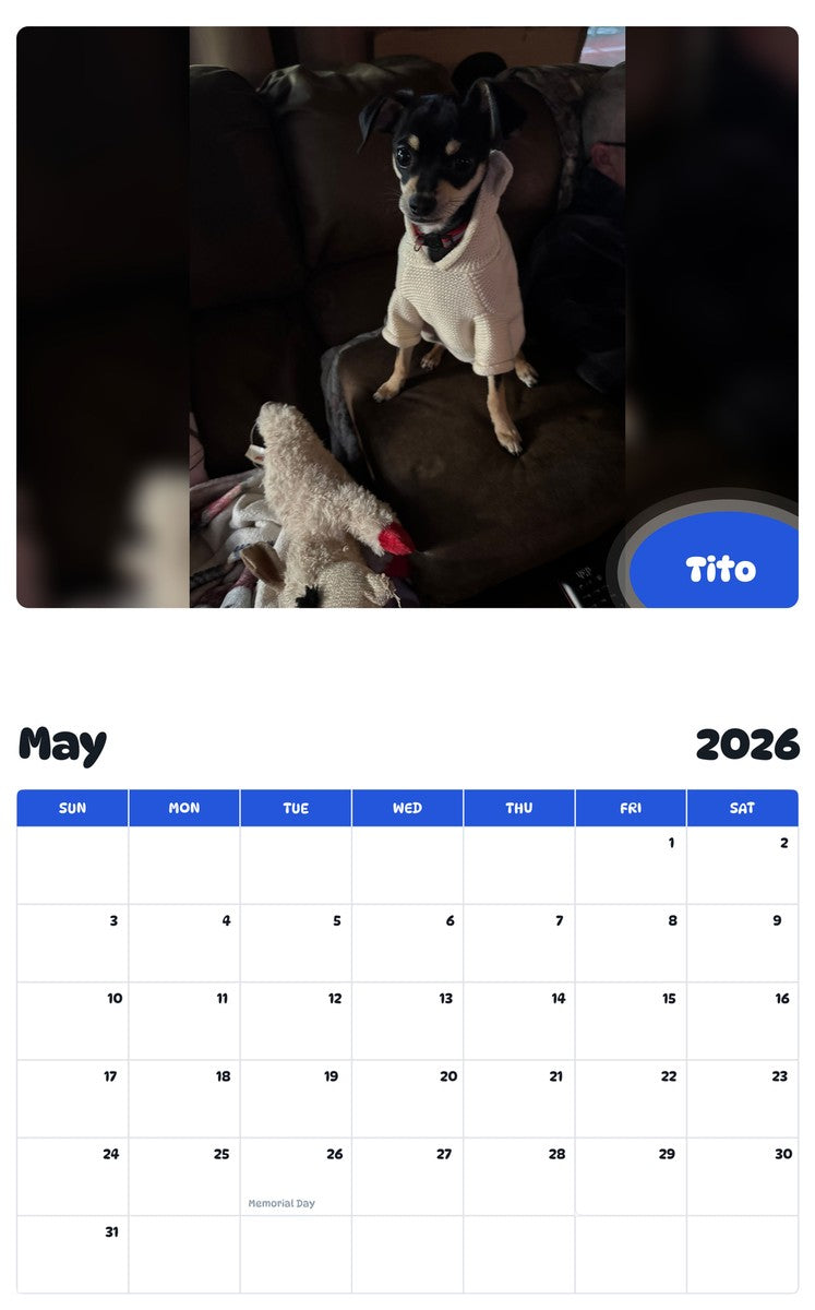 2026 - 2027 Tito - Pawidols Pet Calendar
