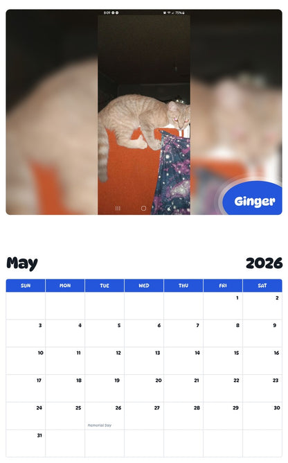 2026 - 2027 Ginger - Pawidols Pet Calendar