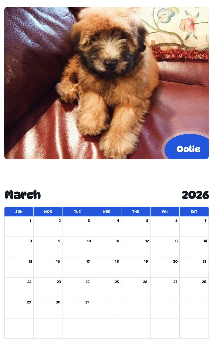 November 2025 - October 2026 Oolie - Pawidols Pet Calendar