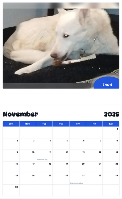 July 2025 - June 2026 Snow - Pawidols Pet Calendar