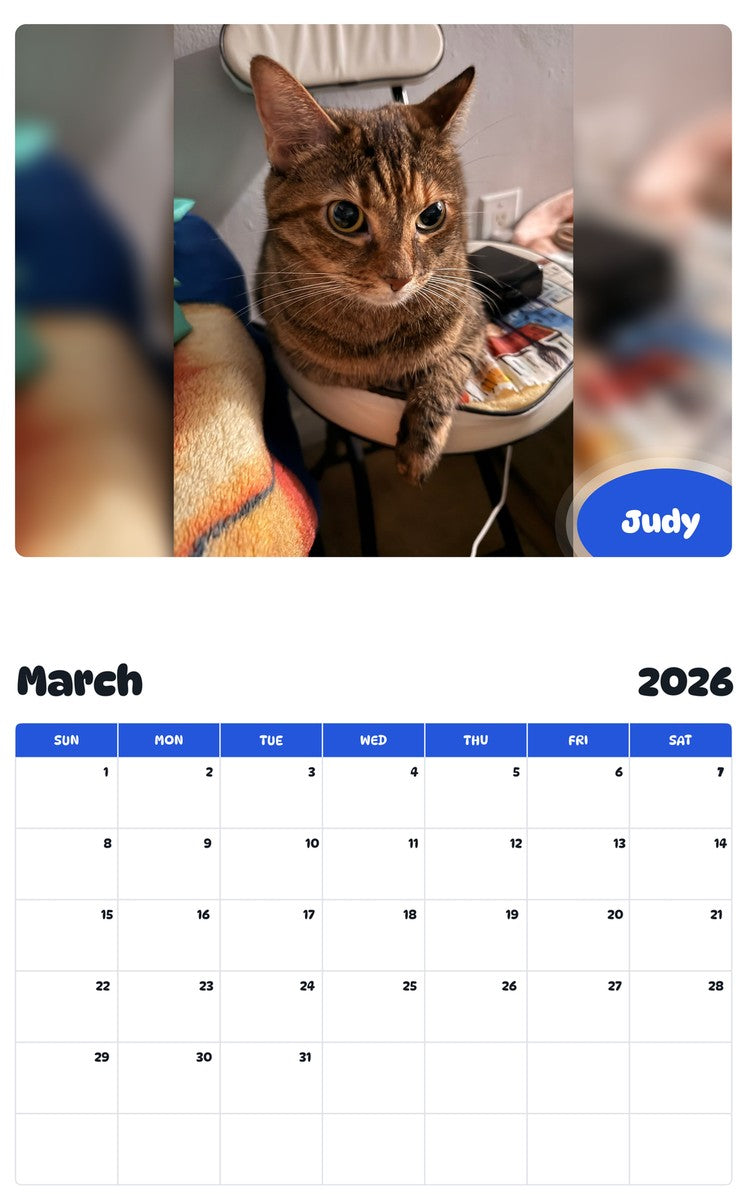 November 2025 - October 2026 Judy - Pawidols Pet Calendar