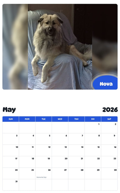 2026 - 2027 Nova - Pawidols Pet Calendar