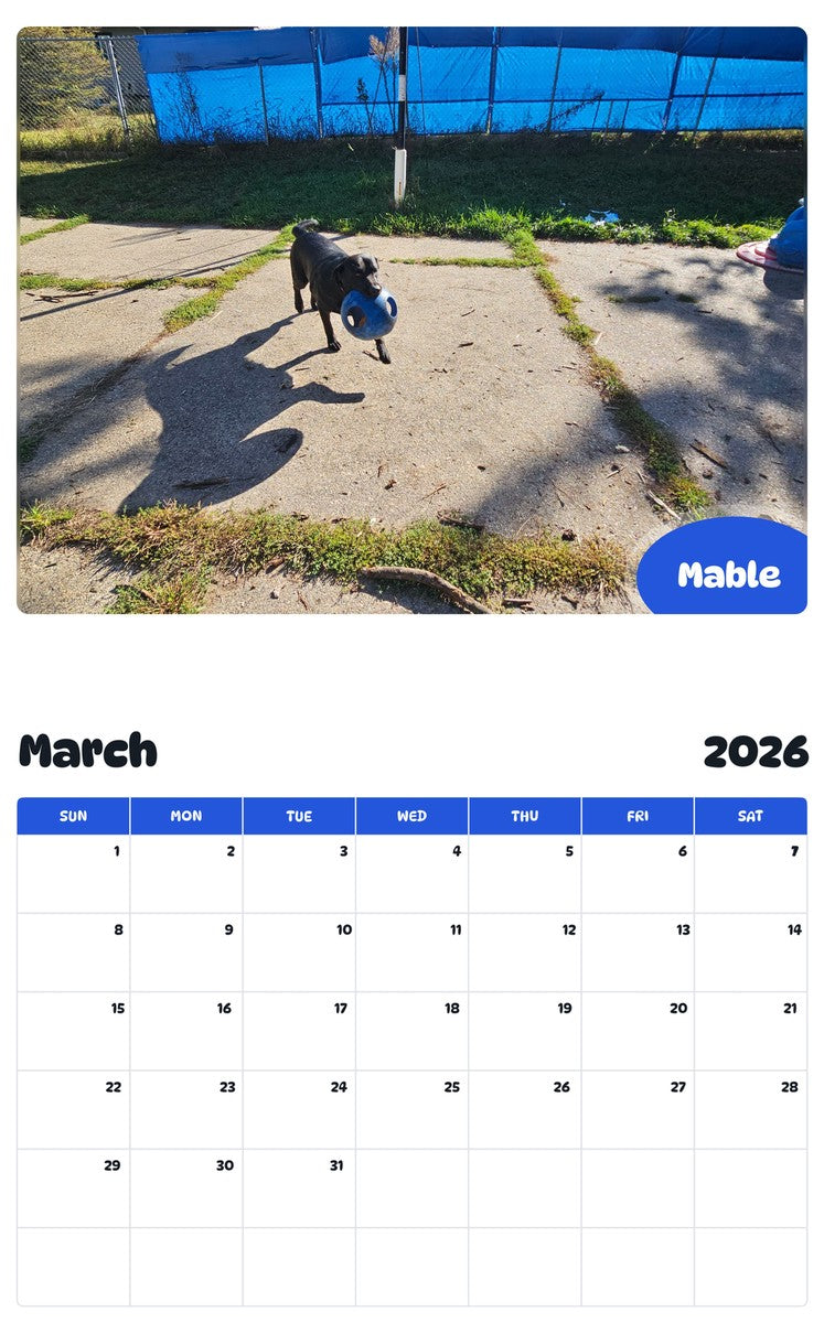 November 2025 - October 2026 Mable - Pawidols Pet Calendar