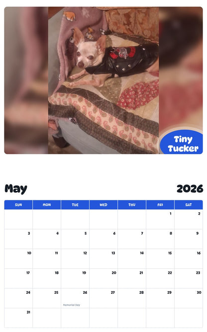 2026 - 2027 Tiny Tucker - Pawidols Pet Calendar