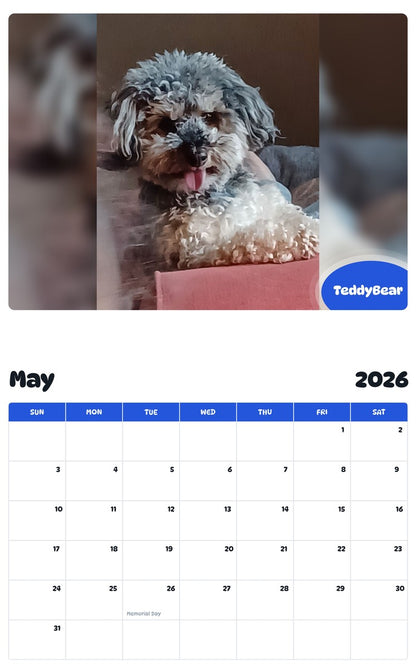 2026 - 2027 TeddyBear - Pawidols Pet Calendar