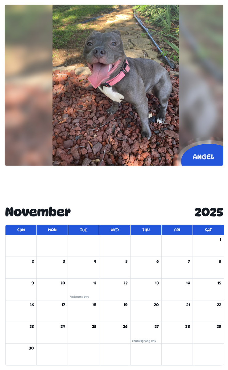 July 2025 - June 2026 Angel - Pawidols Pet Calendar