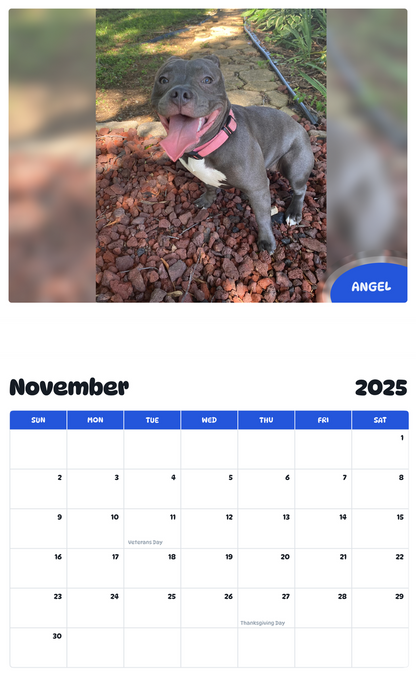 July 2025 - June 2026 Angel - Pawidols Pet Calendar
