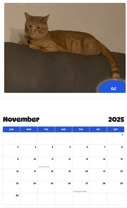 July 2025 - June 2026 OJ - Pawidols Pet Calendar