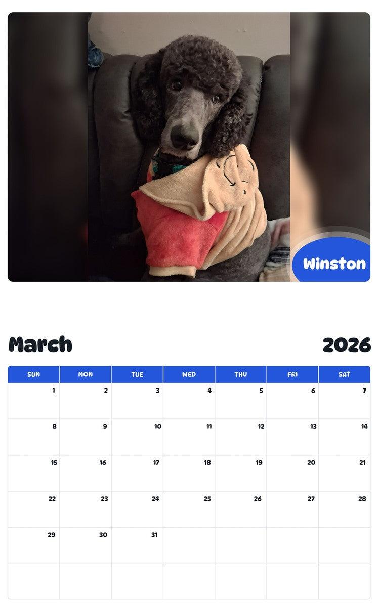 November 2025 - October 2026 Winston - Pawidols Pet Calendar