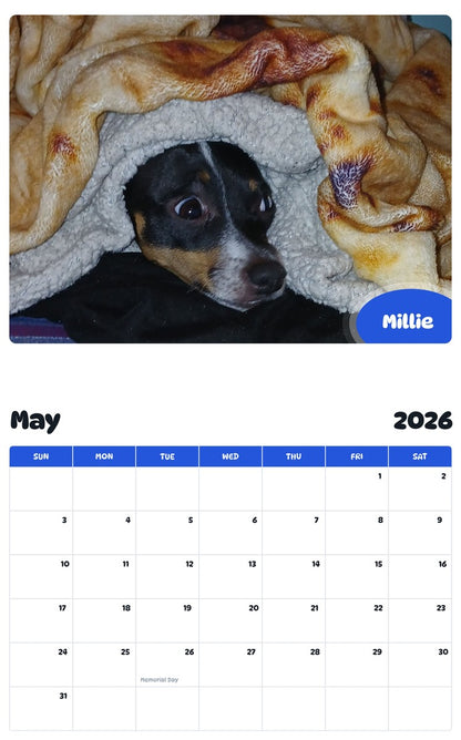 2026 - 2027 Millie - Pawidols Pet Calendar